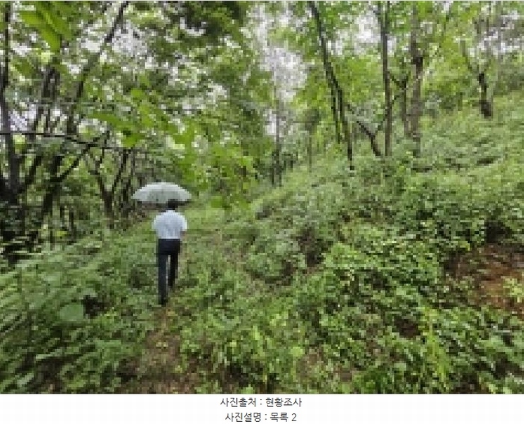 2025타경5387 충청북도 제천시 자작동 산18-1 임야 경매 이미지