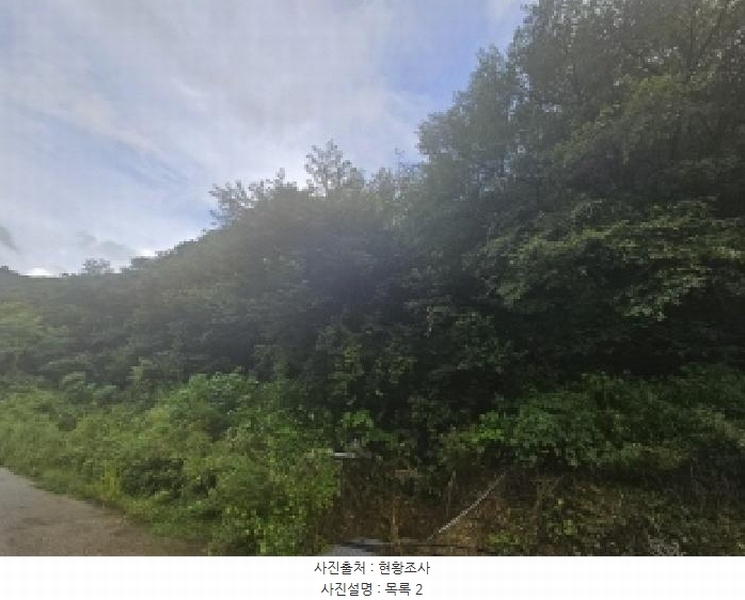 2025타경5387 충청북도 제천시 자작동 산18-1 임야 경매 이미지