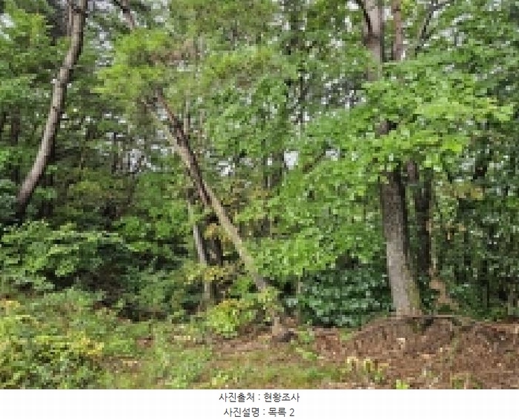 2025타경5387 충청북도 제천시 자작동 산18-1 임야 경매 이미지