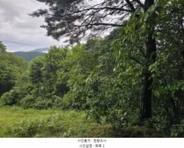 2025타경5387 충청북도 제천시 자작동 산18-1 임야 경매 이미지