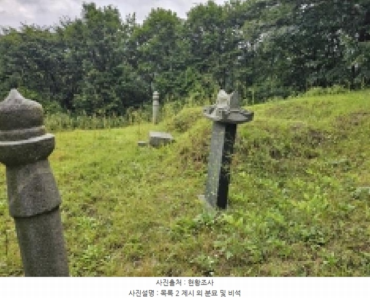 2025타경5387 충청북도 제천시 자작동 산18-1 임야 경매 이미지
