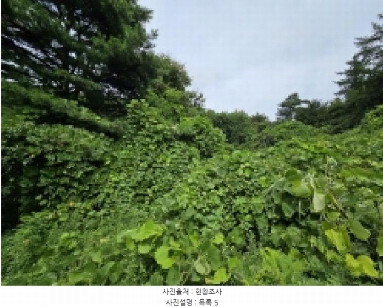 2025타경5387 충청북도 제천시 자작동 산18-1 임야 경매 이미지