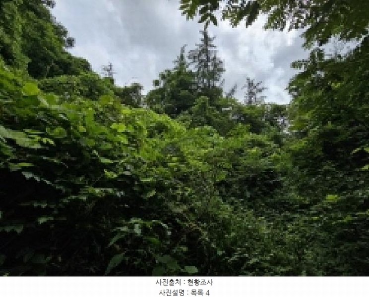 2025타경5387 충청북도 제천시 자작동 산18-1 임야 경매 이미지