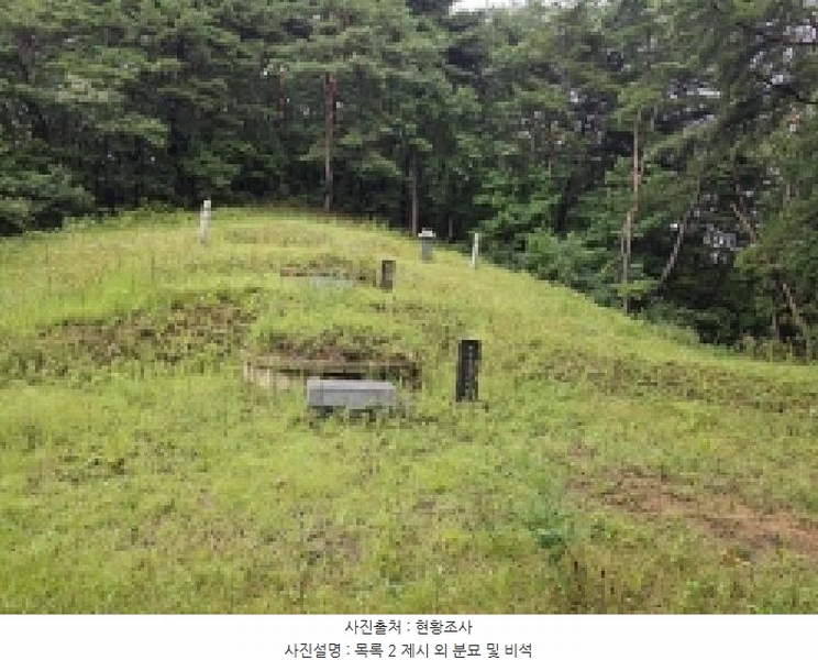 2025타경5387 충청북도 제천시 자작동 산18-1 임야 경매 이미지