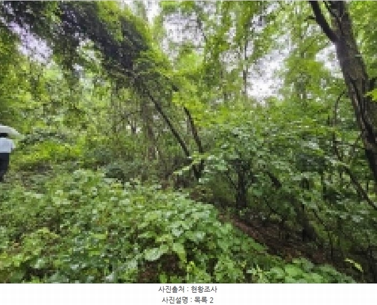 2025타경5387 충청북도 제천시 자작동 산18-1 임야 경매 이미지