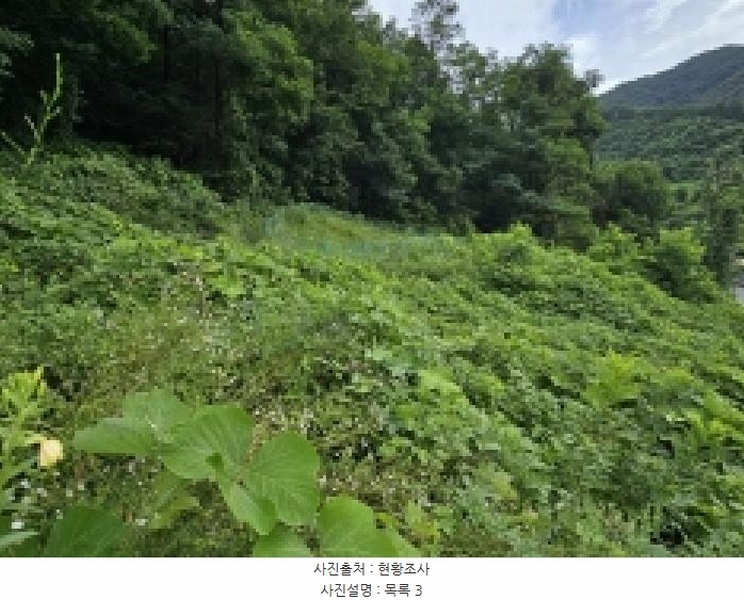 2025타경5387 충청북도 제천시 자작동 산18-1 임야 경매 이미지