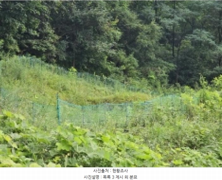 2025타경5387 충청북도 제천시 자작동 산18-1 임야 경매 이미지