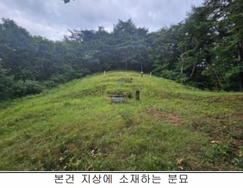 2025타경5387 충청북도 제천시 자작동 산18-1 임야 경매 이미지