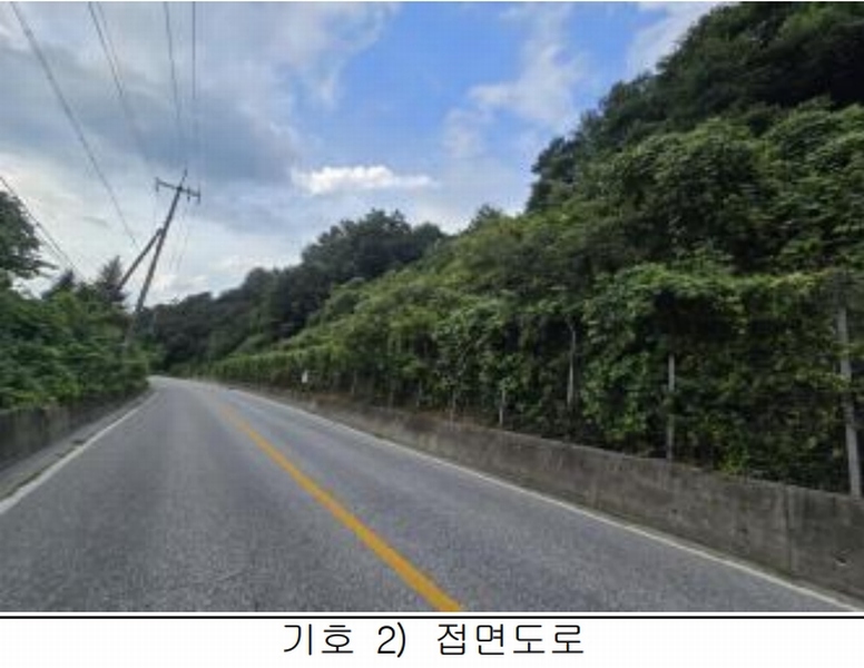 2025타경5387 충청북도 제천시 자작동 산18-1 임야 경매 이미지