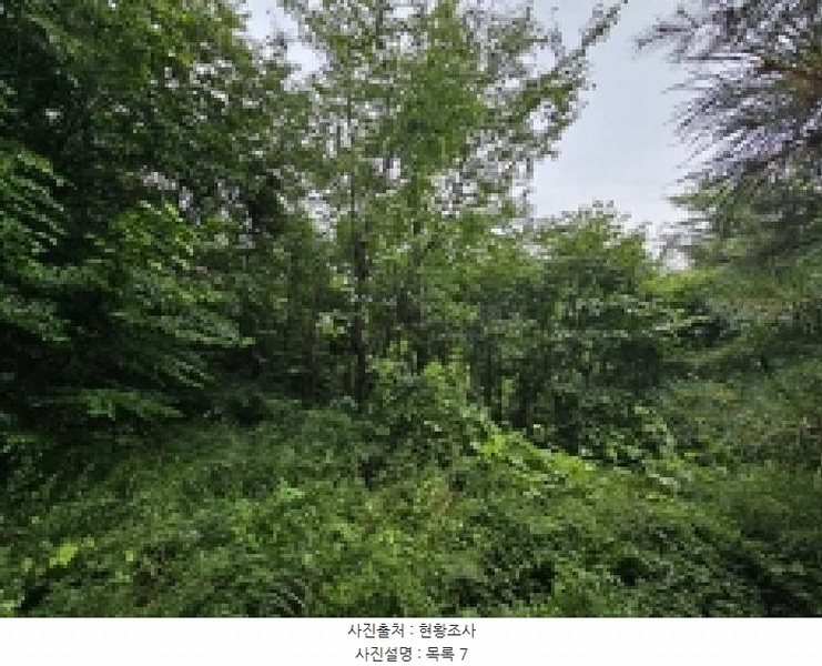 2025타경5387 충청북도 제천시 자작동 산18-1 임야 경매 이미지