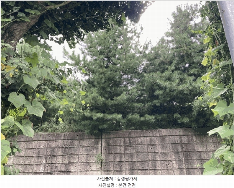 2025타경5399 충청북도 제천시 신월동 1115-51 임야 경매 이미지
