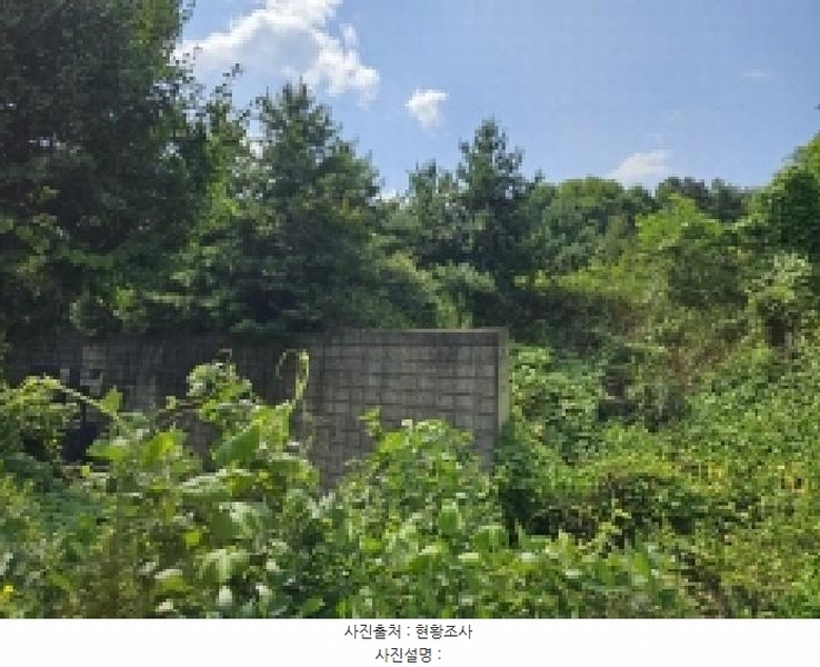 2025타경5399 충청북도 제천시 신월동 1115-51 임야 경매 이미지