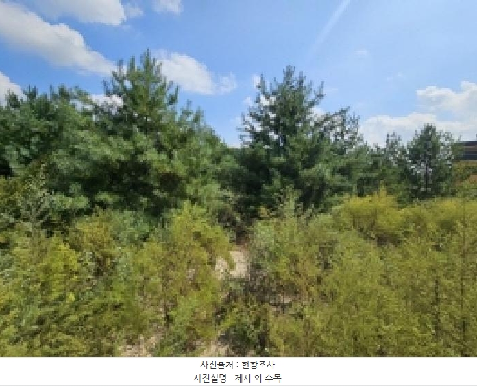 2025타경5399 충청북도 제천시 신월동 1115-51 임야 경매 이미지