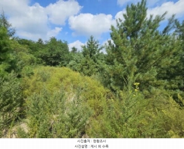 2025타경5399 충청북도 제천시 신월동 1115-51 임야 경매 이미지