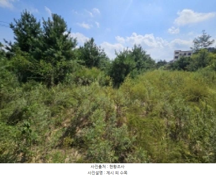 2025타경5399 충청북도 제천시 신월동 1115-51 임야 경매 이미지