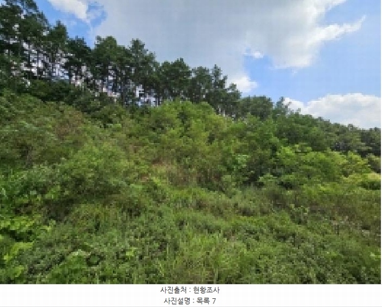 2025타경5401 충청북도 제천시 흑석동 172-19 임야 경매 이미지