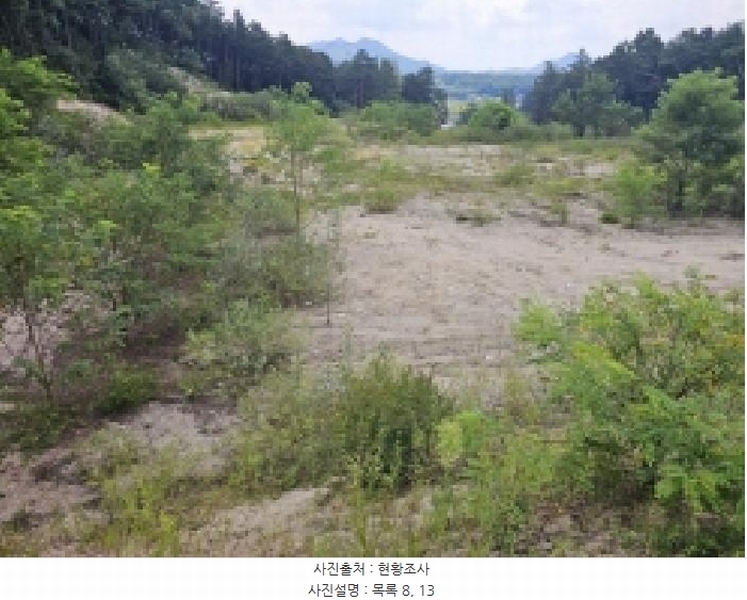 2025타경5401 충청북도 제천시 흑석동 172-19 임야 경매 이미지
