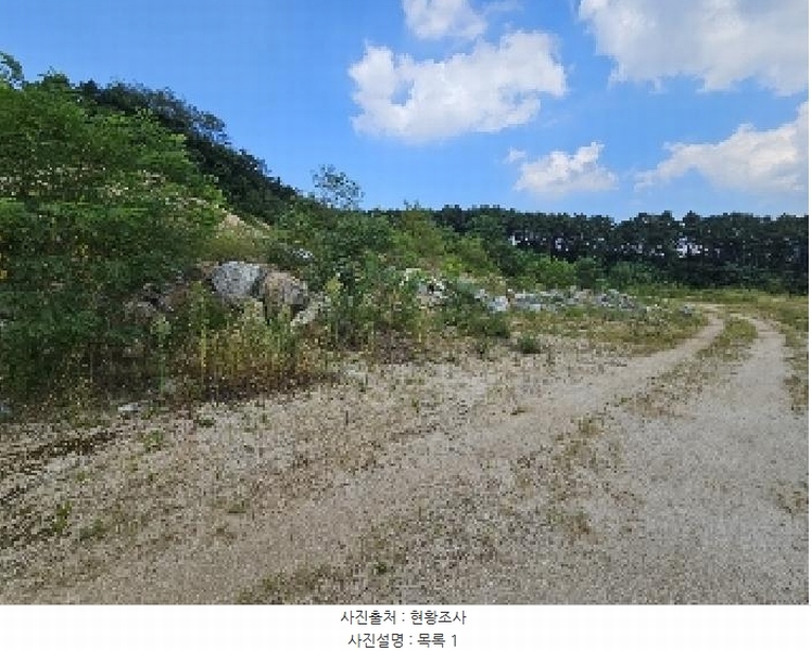 2025타경5401 충청북도 제천시 흑석동 172-19 임야 경매 이미지
