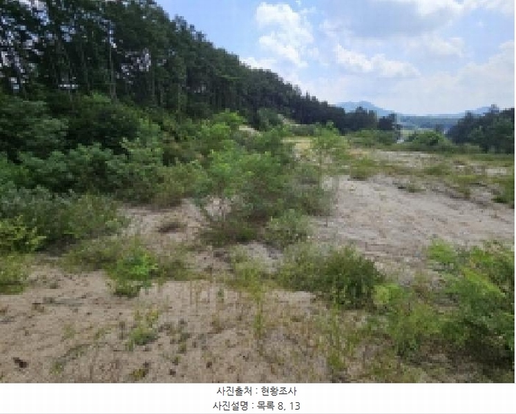 2025타경5401 충청북도 제천시 흑석동 172-19 임야 경매 이미지