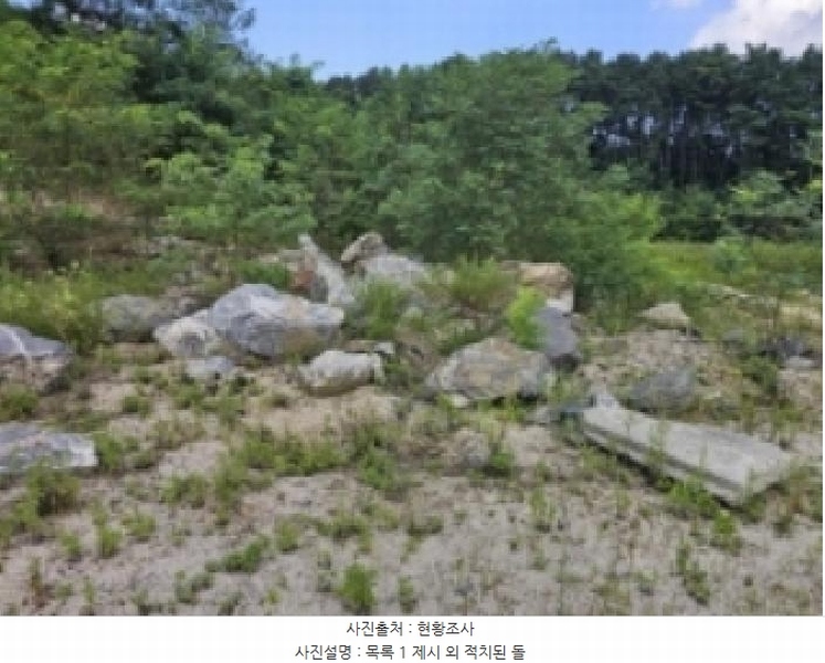2025타경5401 충청북도 제천시 흑석동 172-19 임야 경매 이미지