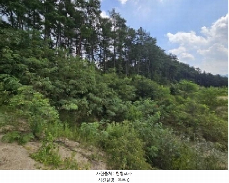 2025타경5401 충청북도 제천시 흑석동 172-19 임야 경매 이미지