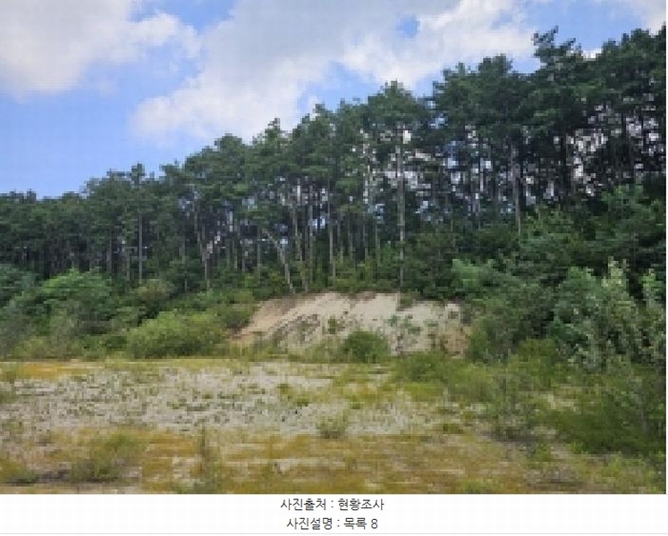2025타경5401 충청북도 제천시 흑석동 172-19 임야 경매 이미지