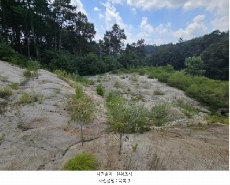 2025타경5401 충청북도 제천시 흑석동 172-19 임야 경매 이미지