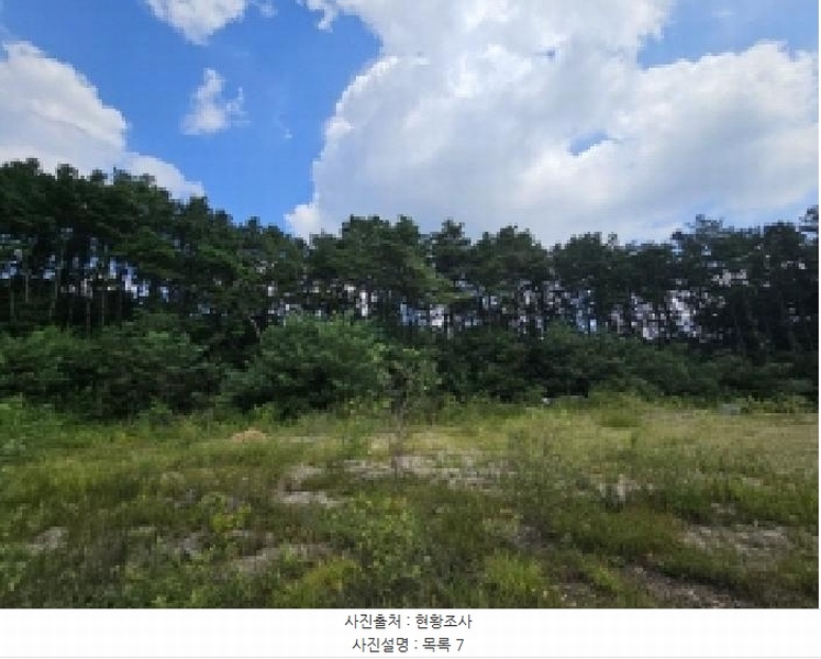 2025타경5401 충청북도 제천시 흑석동 172-19 임야 경매 이미지