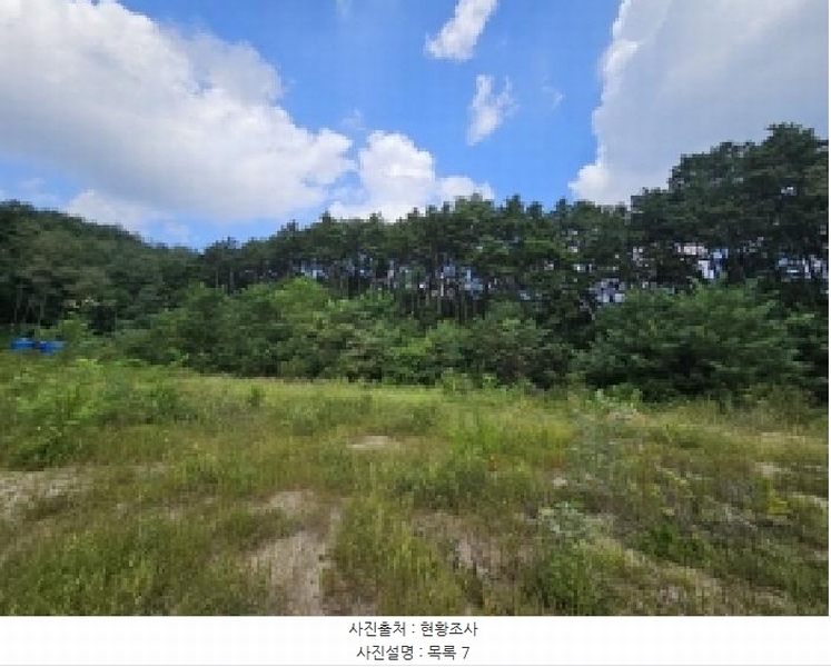 2025타경5401 충청북도 제천시 흑석동 172-19 임야 경매 이미지