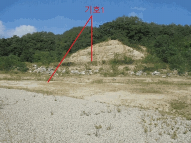 2025타경5401 충청북도 제천시 흑석동 172-19 임야 경매 이미지