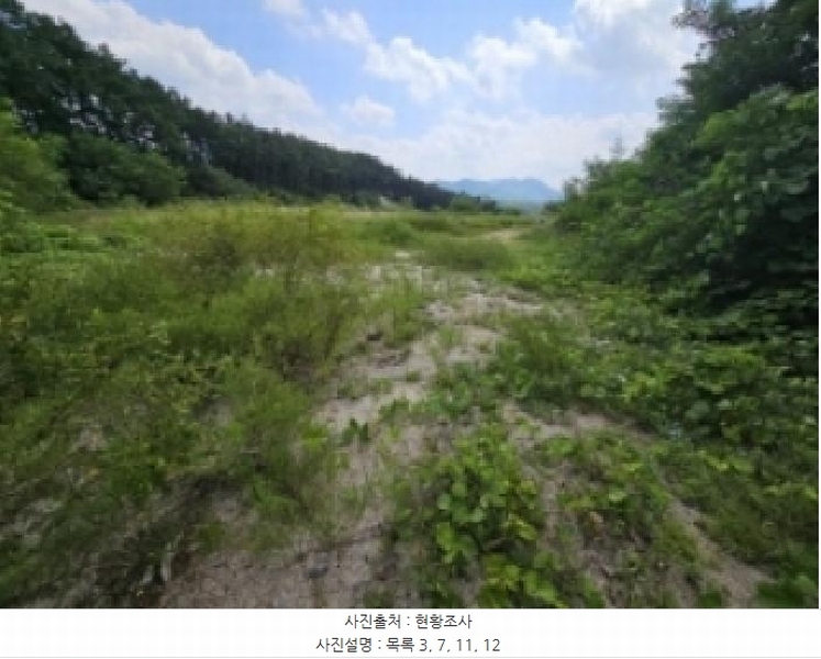 2025타경5401 충청북도 제천시 흑석동 172-19 임야 경매 이미지