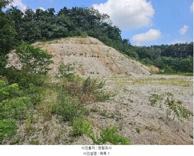 2025타경5401 충청북도 제천시 흑석동 172-19 임야 경매 이미지
