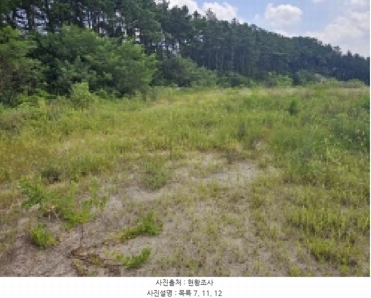 2025타경5401 충청북도 제천시 흑석동 172-19 임야 경매 이미지