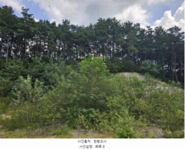 2025타경5401 충청북도 제천시 흑석동 172-19 임야 경매 이미지
