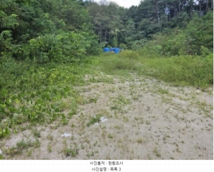 2025타경5401 충청북도 제천시 흑석동 172-19 임야 경매 이미지