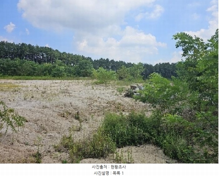 2025타경5401 충청북도 제천시 흑석동 172-19 임야 경매 이미지