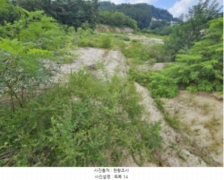 2025타경5401 충청북도 제천시 흑석동 172-19 임야 경매 이미지