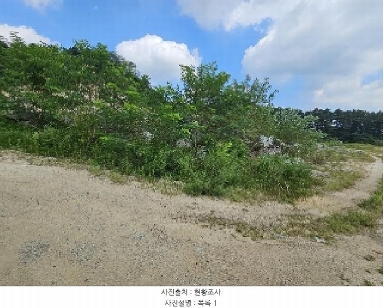 2025타경5401 충청북도 제천시 흑석동 172-19 임야 경매 이미지