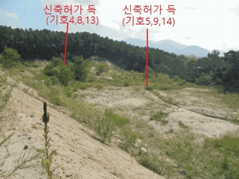 2025타경5401 충청북도 제천시 흑석동 172-19 임야 경매 이미지