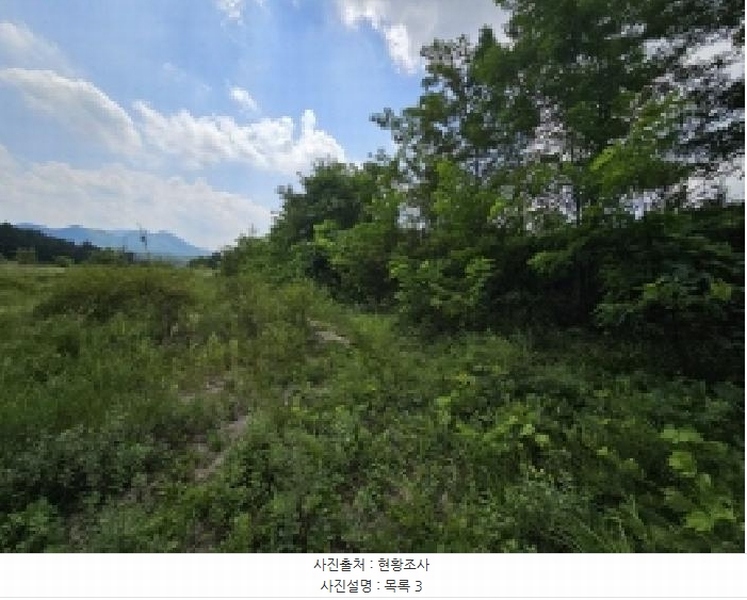 2025타경5401 충청북도 제천시 흑석동 172-19 임야 경매 이미지