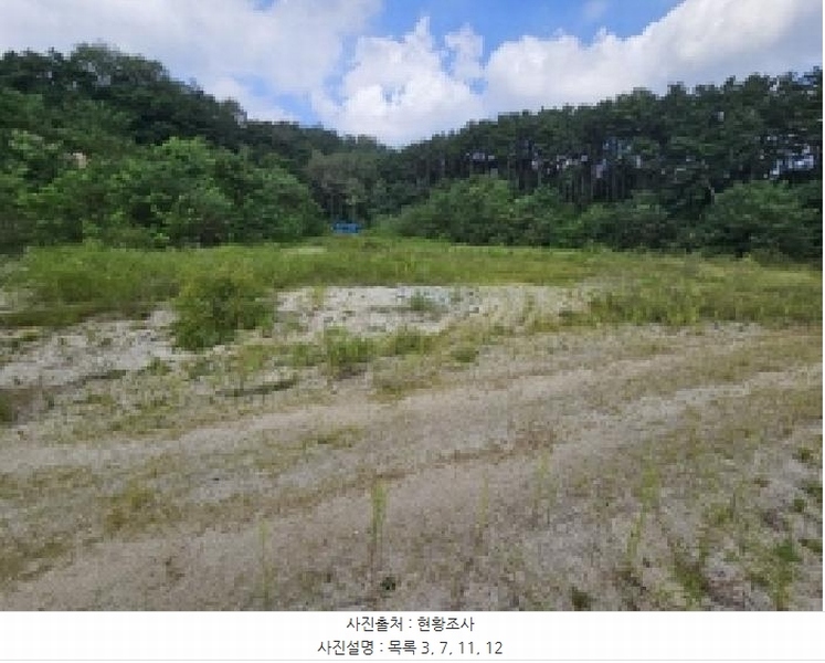 2025타경5401 충청북도 제천시 흑석동 172-19 임야 경매 이미지