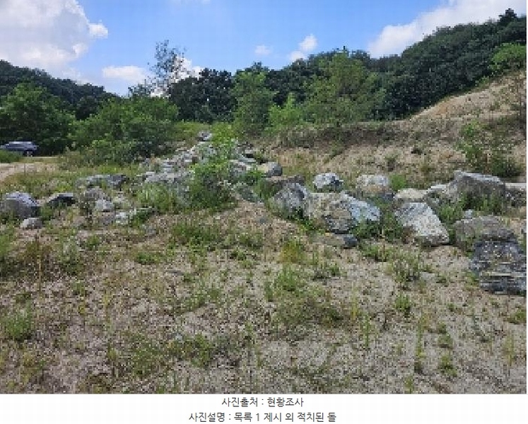 2025타경5401 충청북도 제천시 흑석동 172-19 임야 경매 이미지