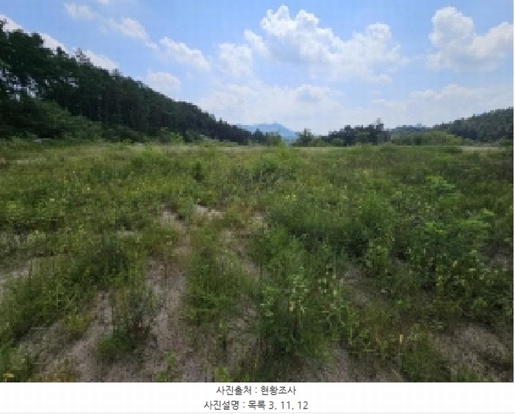 2025타경5401 충청북도 제천시 흑석동 172-19 임야 경매 이미지