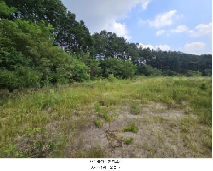 2025타경5401 충청북도 제천시 흑석동 172-19 임야 경매 이미지