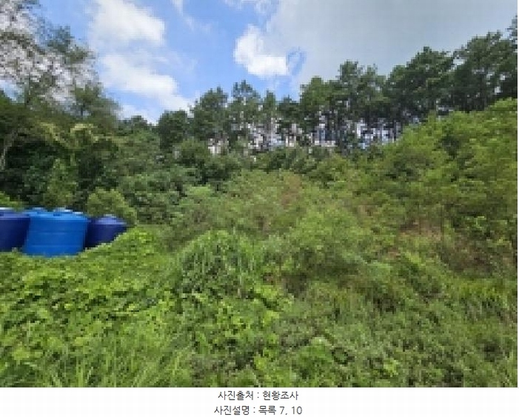 2025타경5401 충청북도 제천시 흑석동 172-19 임야 경매 이미지