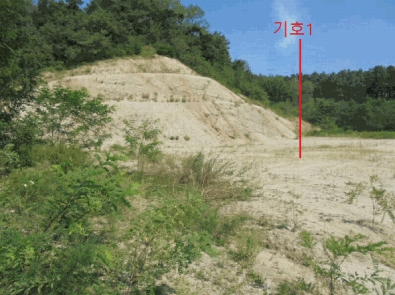 2025타경5401 충청북도 제천시 흑석동 172-19 임야 경매 이미지