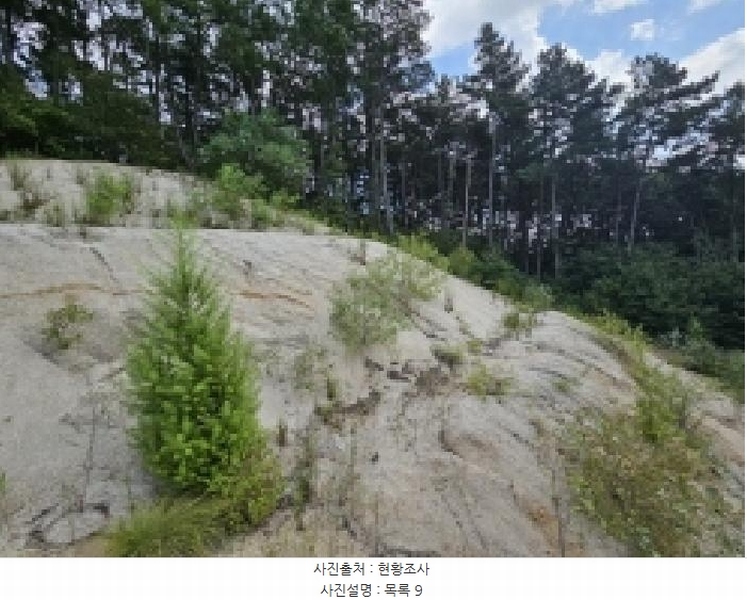 2025타경5401 충청북도 제천시 흑석동 172-19 임야 경매 이미지