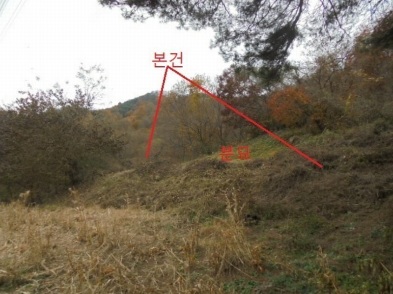 2024타경1629 충청북도 제천시 백운면 원월리 254 농지 경매 이미지