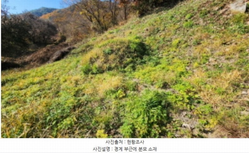 2024타경1629 충청북도 제천시 백운면 원월리 254 농지 경매 이미지