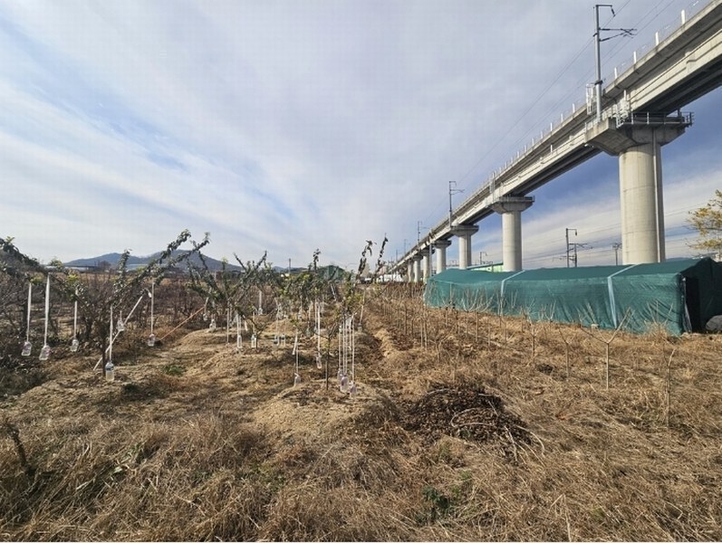 2024타경1643 충청북도 제천시 고명동 697-3 농지 경매 이미지